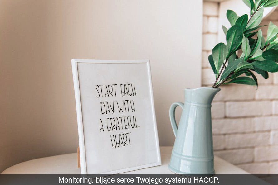 Infografika przedstawiająca serce jako centralny element systemu HACCP, symbolizujące kluczową rolę monitoringu w bezpieczeństwie żywności.
